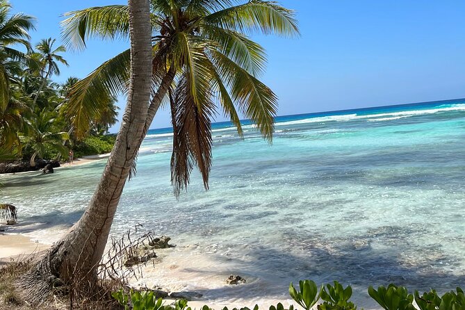 Saona Island Full Day Tour with Buffet Lunch, Paella, & Open Bar - Logistics you should plan for: multiple rides and language gaps