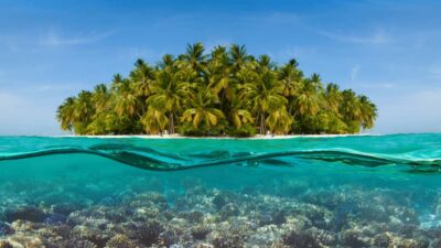 Saona Island: Hidden Beach & Natural Pool - Price and value: is $59 worth an 8-hour Saona Island day?