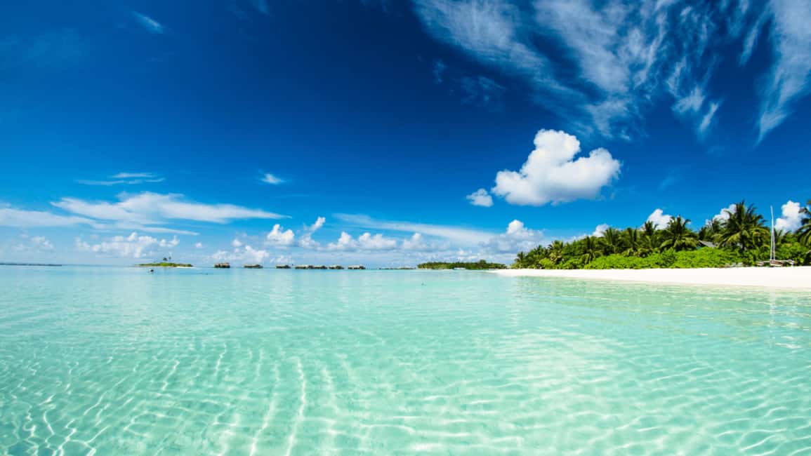 Saona Island: Hidden Beach & Natural Pool - Boat rides: crystal-clear water on the way in, catamaran energy on the way back