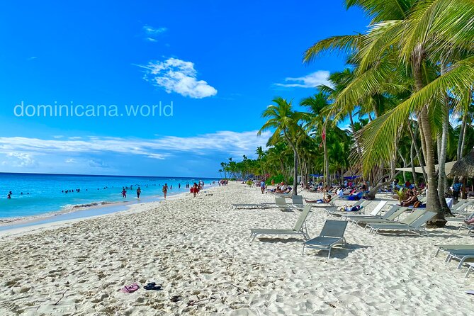 Saona Island, Natural pool Starfish, Fast boat, Catamaran +Dances - Price and Value: What $169 Covers (and What Adds Up)