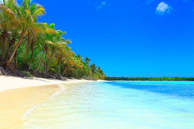 Saona Island Paradise Full Day - all inclusive. From Punta Cana & Bayahibe - Catamaran return with party energy: fun, but expect the noise