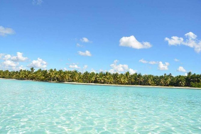 Saona Island Private +8 People Platinum Transfer - A Private Saona Day That Actually Feels Private (10–15 People)