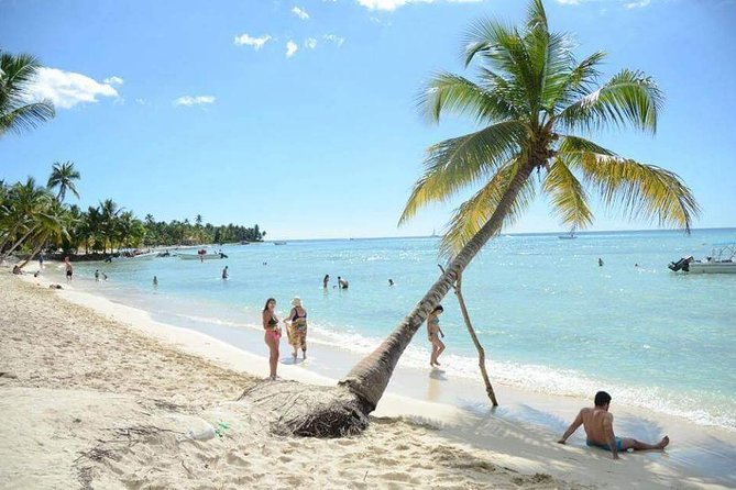 Saona Island Private +8 People Platinum Transfer - Snorkeling Stop: More Than a Quick Look at Fish