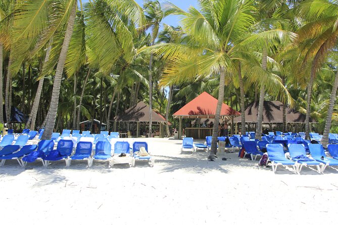 Saona Island Private Boat Tour with Lunch and Beverages - Boat ride realities: open bar, comfort, and the “what exactly is included?” question