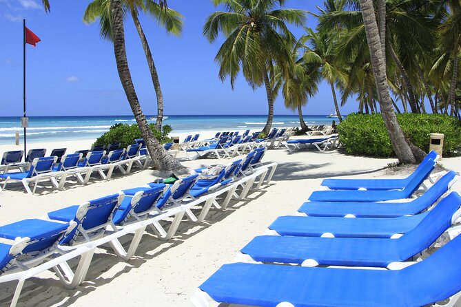 Saona Island Private Boat Tour with Lunch and Beverages - Saona Island: beach time, included lunch, and the pace you control