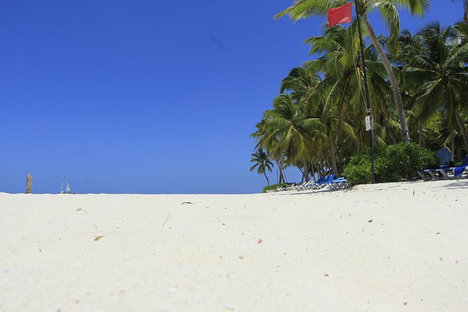 Saona Island Private Boat Tour with Lunch and Beverages - Personalized crew attention: where private tours really pay off