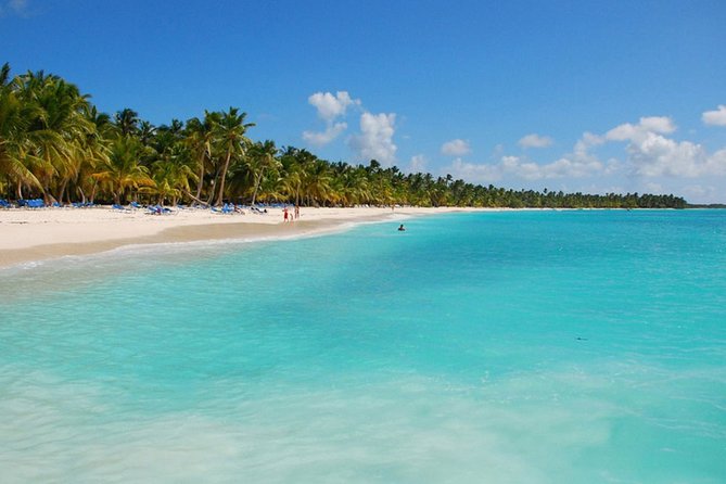 Saona Island Private Boat Tour with Lunch and Beverages - Meeting at the Punta Cana dock and handling the ride setup