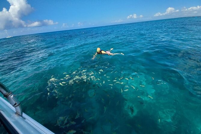 Saona island - Private Tour with a Luxury Speed Boat - Isla Saona Beach Time: About Two Hours to Swim, Snack, and Reset