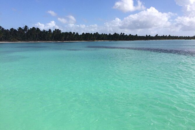 Saona island - Private Tour with a Luxury Speed Boat - Las Palmillas Natural Pools: Quiet Shallow Water (And Likely Starfish)
