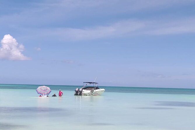 Saona island - Private Tour with a Luxury Speed Boat - Price and Value: When $1,490 Per Group Makes Sense