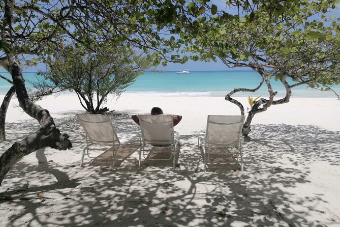 Saona island - Private Tour with a Luxury Speed Boat - Who This Tour Fits Best (And Who Might Want Another Option)