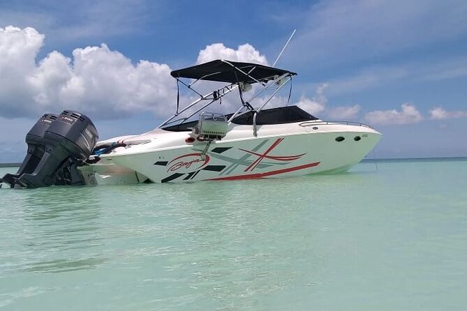 Saona island - Private Tour with a Luxury Speed Boat - Catuano Snorkeling Stop: Short, Guided, and Built for First Timers
