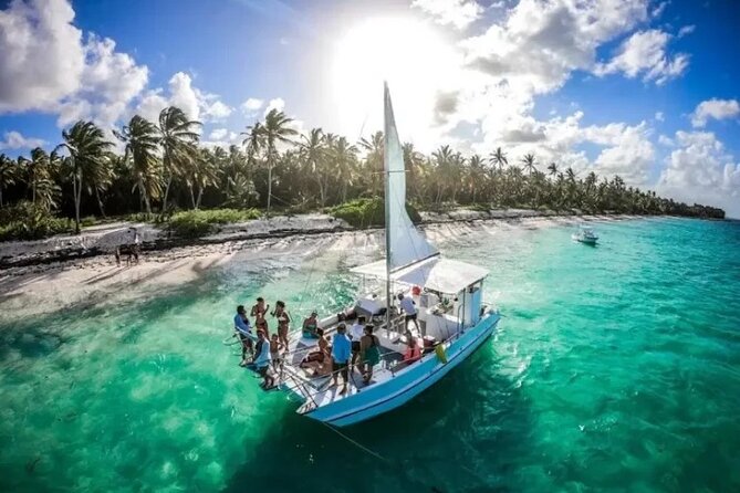 Saona Island : Punta Cana All Inclusive - The Natural Pool: starfish viewing without a long hassle