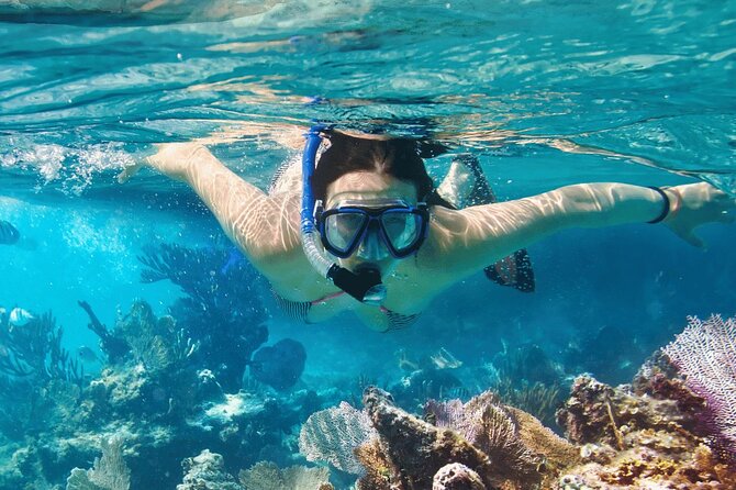 Saona Island : Punta Cana All Inclusive - Getting to the water: what the speedboat or catamaran ride is really for