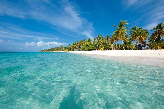 Saona Island Sailing Tour - All Inclusive - Saona Island Time: Starfish Swimming, Beach Hours, and the Natural-Pool Style Stop