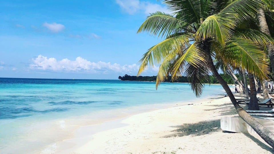 Saona island small group boat with water slide with lunch - Guide and Group Pace: where the experience can feel slow or crowded