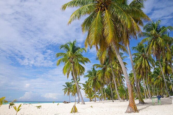 Saona Island Tour and Catamaran Party from Punta Cana - Stop at the Natural Pool: starfish and photo-friendly water