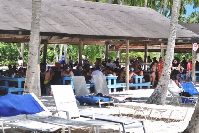 Saona Island Tour – Caribbean All Inclusive Escape - Beach Time on Saona: Swimming, Shade, and Those Big Views