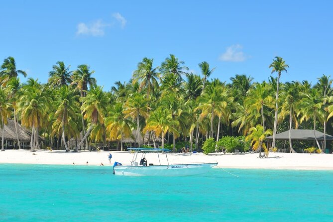 Saona Island Tour from Juan Dolio with pickup - Key highlights you should care about