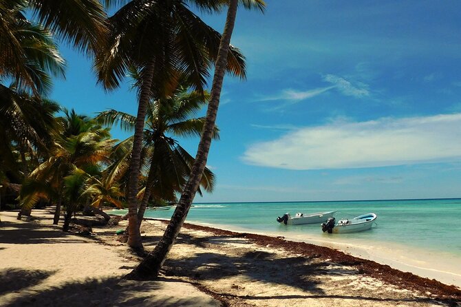 Saona Island Tour from Juan Dolio with pickup - Meeting point and timing: starting around 7:10 am