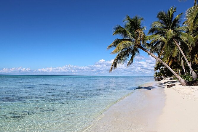 Saona Island Tour from Juan Dolio with pickup - Service, pickup timing, and the max-15 group advantage
