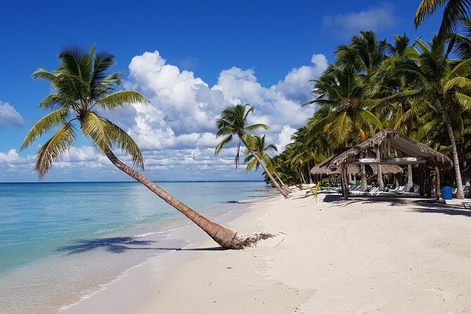 Saona Island Tour from Juan Dolio with pickup - Isla Saona: how to spend your 2 hours in the real Dominican beach zone