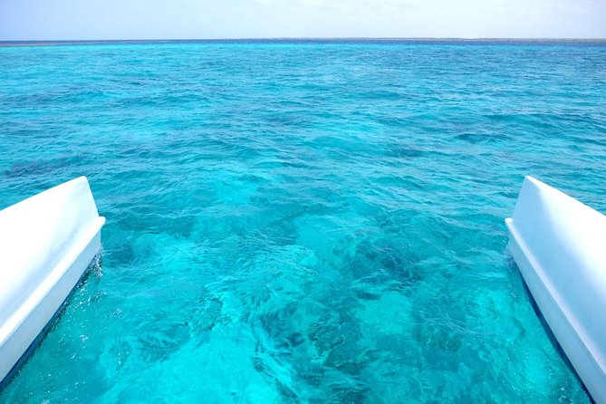 Saona Island Tour From Punta Cana - The 7:00 AM Start and the Bus Ride to La Romana Port