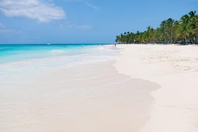 Saona Island Tour From Punta Cana - Snorkeling Stop Near Catalina: Gear, Life Jackets, and How to Prep