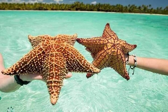 Saona Island Tour from Punta Cana All Inclusive - Punta Cana pickup and the reality of a long transfer day