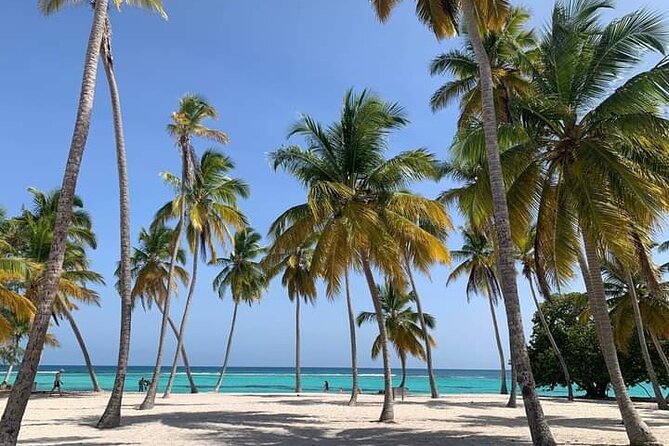 Saona Island Tour from Punta Cana All Inclusive - Basilica of Higuey: a quick Dominican stop before the beach