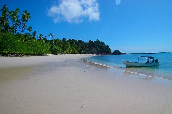 Saona Island Tour from Punta Cana with Lunch, Open Bar & Pickup - Price and value check: is $68.55 per person reasonable?