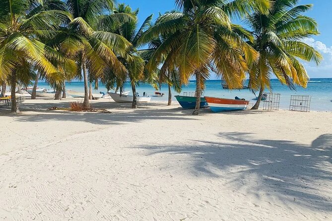 Saona Island Tour From Santo Domingo with Lunch, Open Bar, Pickup - Lunch, Open Bar, and What’s Actually Included