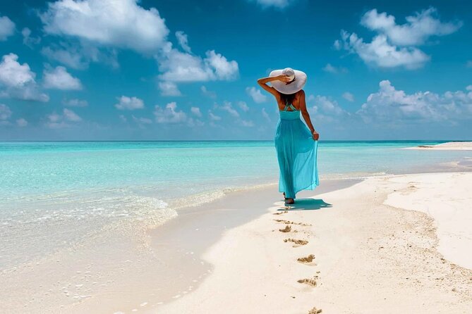 Saona Island Tour From Santo Domingo with Lunch, Open Bar, Pickup - Group Size and Guide Support: What a Max of 29 Means