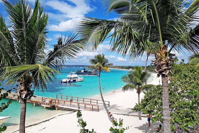 Saona Island Tour From Santo Domingo with Lunch, Open Bar, Pickup - Getting There from Santo Domingo: The 7:00am Start and the Bayahibe Run