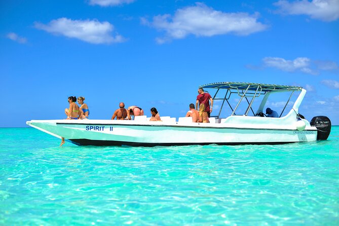 Saona Island Tour with Altos de Chavón from Punta Cana - Price and What You’re Really Paying For