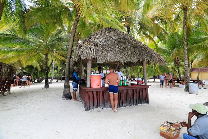 Saona Island Tour with Altos de Chavón from Punta Cana - Isla Saona by Midday: Beach Time on a Big, Beautiful Island