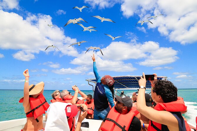 Saona Island Tour with Altos de Chavón from Punta Cana - Guide Language and Pacing: Why English Can Matter Here