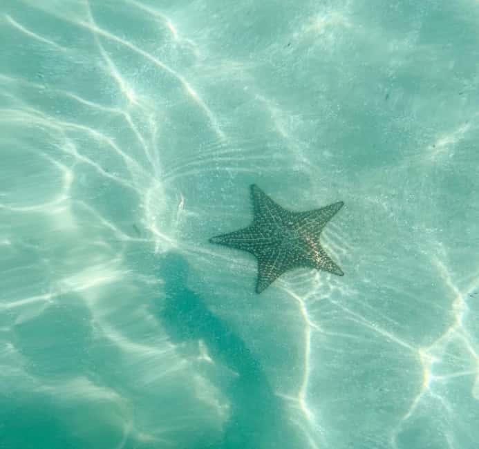 Saona Island VIP: 4 Beaches , Mano Juan & Canto de la Playa - Saona VIP, explained in human terms