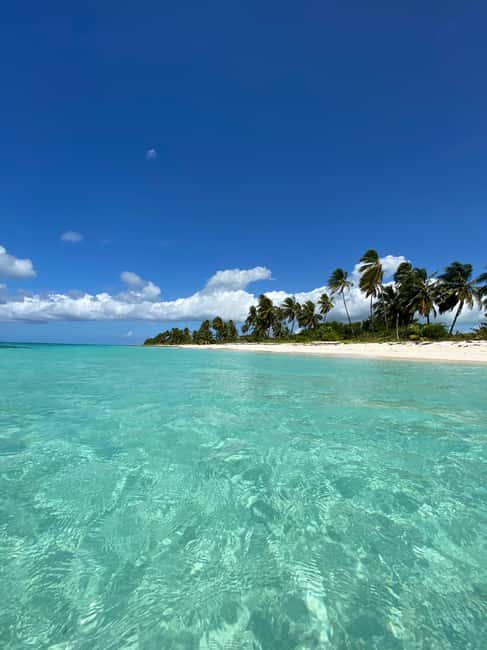 Saona Island VIP: 4 Beaches , Mano Juan & Canto de la Playa - The full 10-hour timeline (and why the timing matters)