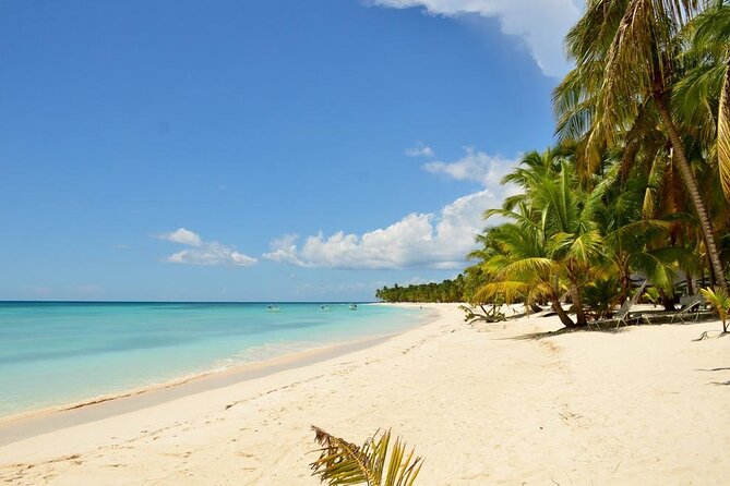 Saona Island VIP Experience – Private Boat for Up to 20 People - Customizing the day sounds great, so ask the right questions