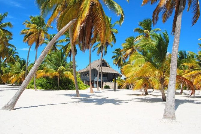 Saona Island VIP Full Day All Inclusive Excursion - Mano Juan fishing village: lunch with real atmosphere