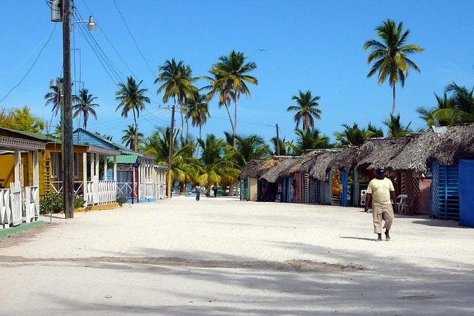 Saona Island VIP Full Day All Inclusive Excursion - Snorkeling in crystal-clear water: the moment people remember