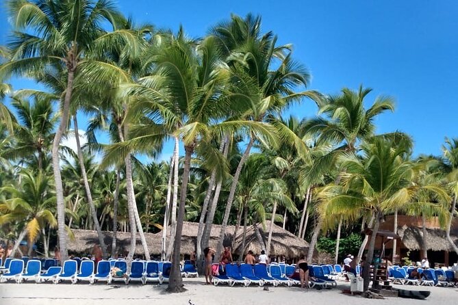 Saona Island: White Sands & Turquoise Waters” - Playa Bayahibe natural pool: the clearest water moment