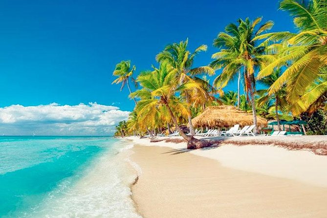 Saona Platinum Beach Day - Saona Island Beach Time: Where the Day Becomes Worth It