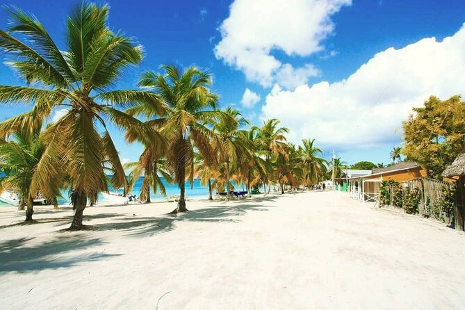 Saona Relax Tour - Entertainment on the water and on the way back