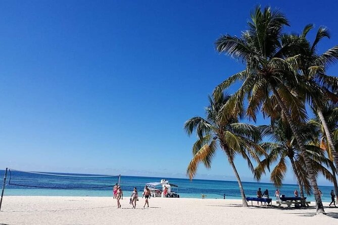 Saona Relax Tour - From Bayahibe to Saona: catamaran or speedboat