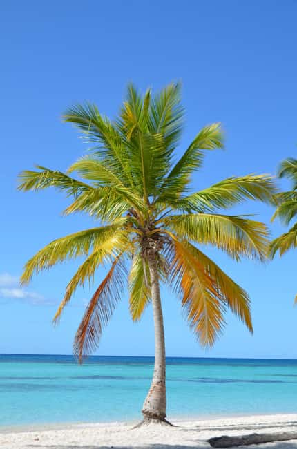 Saona Special Tour: Four Beaches & Canto Experience - Canto de la Playa: White Sand and the Key Timing Advantage