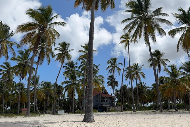 Saona VIP 3 Beaches, Natural Pool & Mano Juan Turtle Sanctuary - Mano Juan: The Inhabited Island Village and Turtle Sanctuary Visit