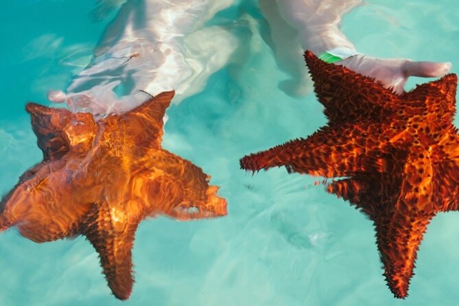 Saona VIP 3 Beaches, Natural Pool & Mano Juan Turtle Sanctuary - Playa Mano Juan and Playa Abanico: More Beach, Less Running