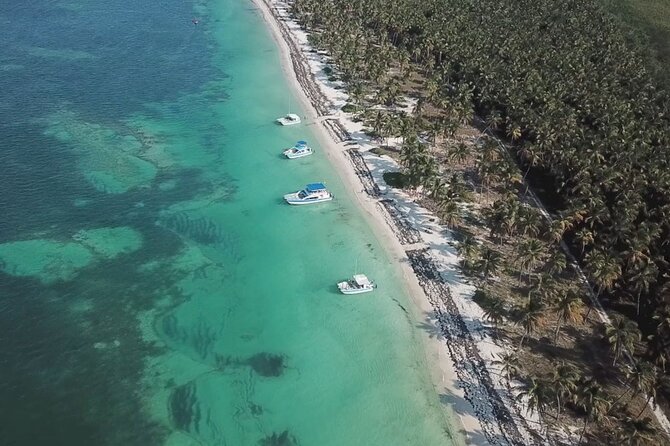Saône Deluxe Platinum Island - Platinum-style Saona: is $109 a smart value?